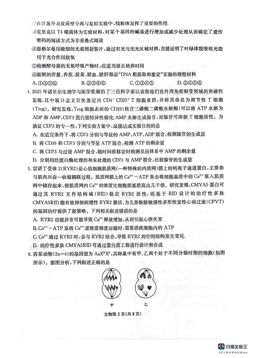 四川省绵阳南山中学2025-2026学年高三上学期11月月考生物试题（含答案）第2页