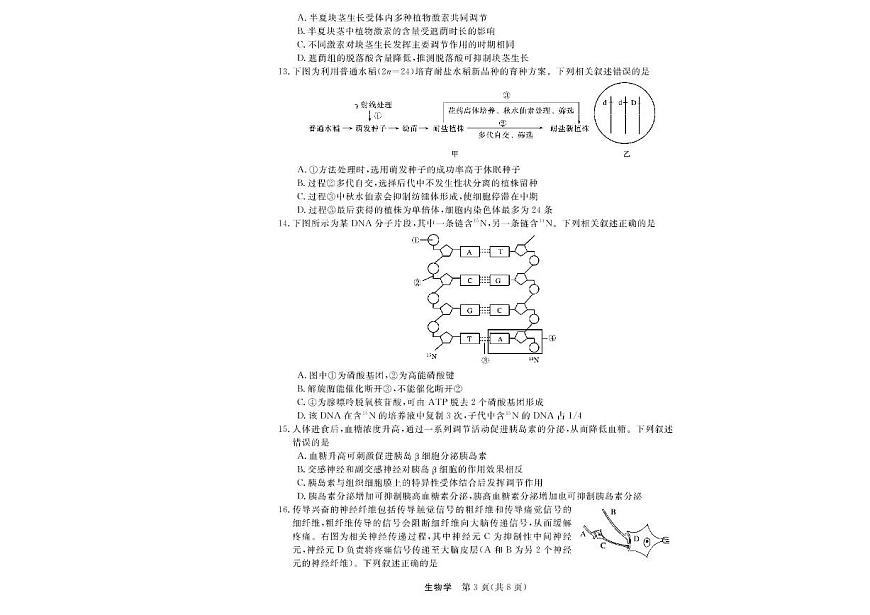 浙江省强基联盟2025-2026学年高二上学期11月期中生物试题（A卷）含答案第3页