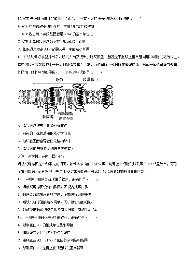 浙江省ZDB联盟2025-2026学年高一上学期11月期中生物试题  Word版无答案第3页