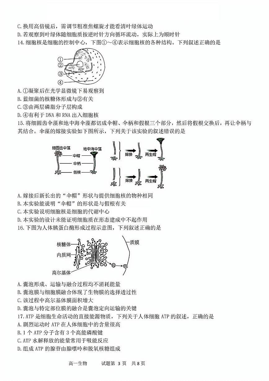 生物试题第3页