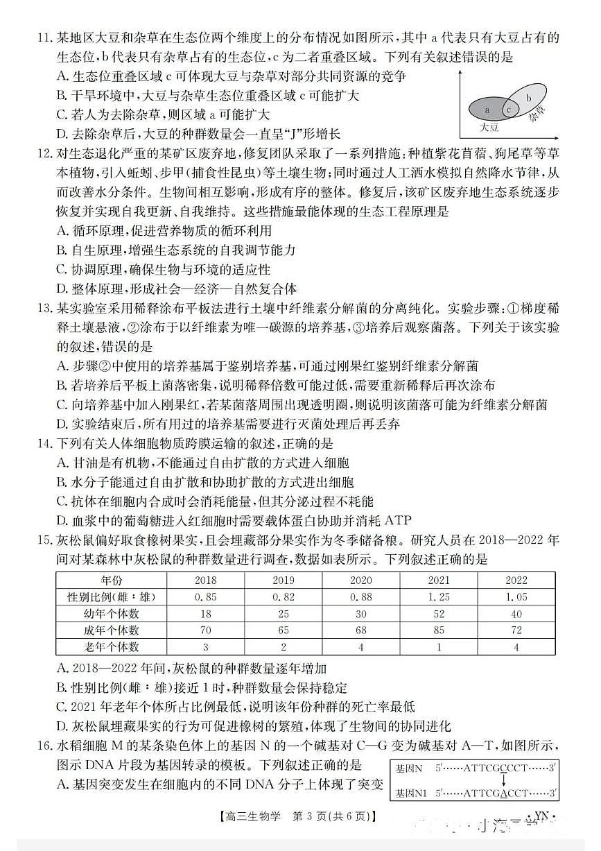金太阳百万联考·云南省2026届高三上学期11月考试(11.27)[YN]生物试题（含答案）第3页