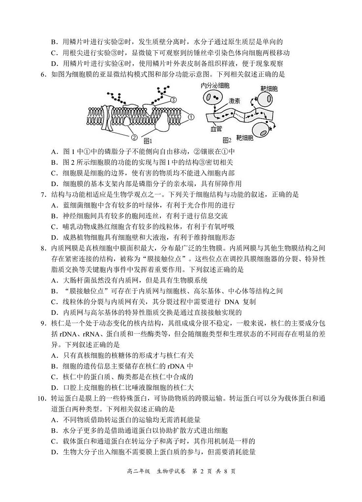 四川省宜宾市普通高中2023-2024学年高二下学期期末检测生物试题第2页