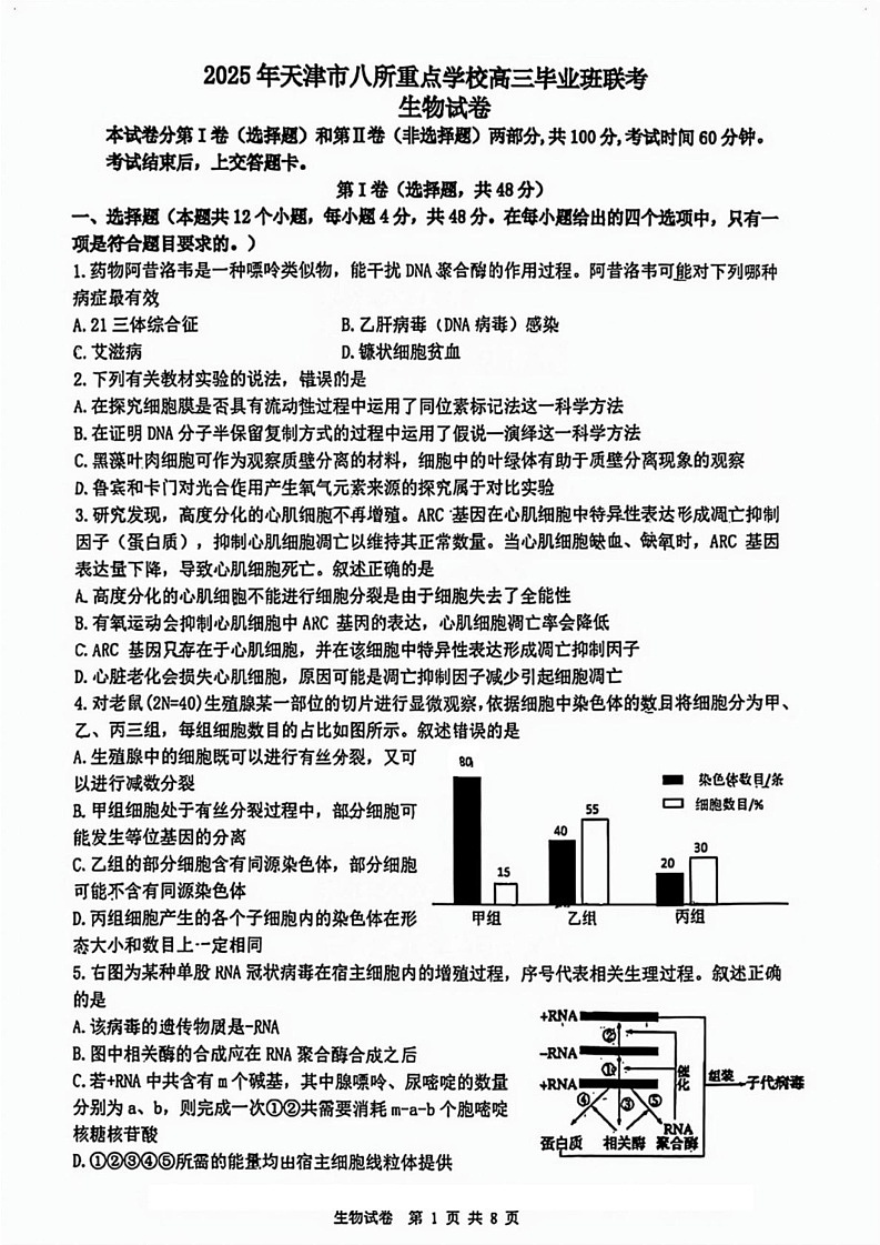 天津市八校联考2024-2025学年高三上学期1月期末生物试题第1页