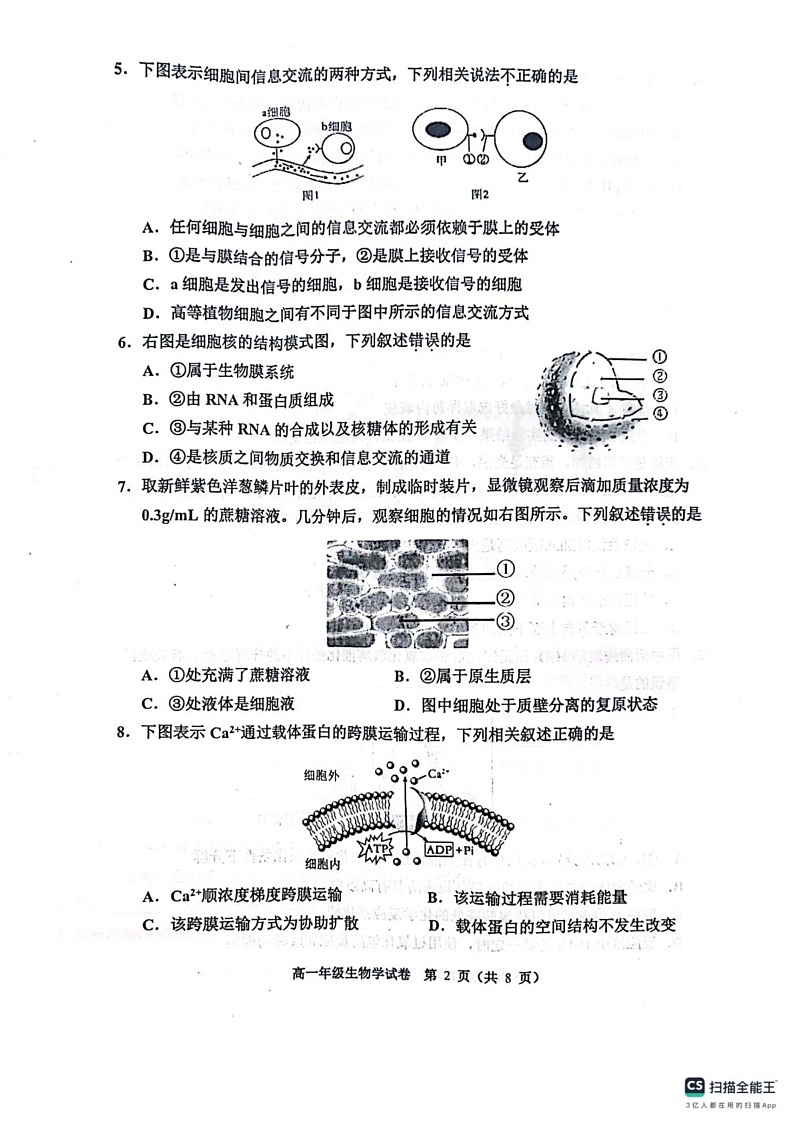 天津市河西区2024-2025学年高一上学期1月期末生物试题第2页