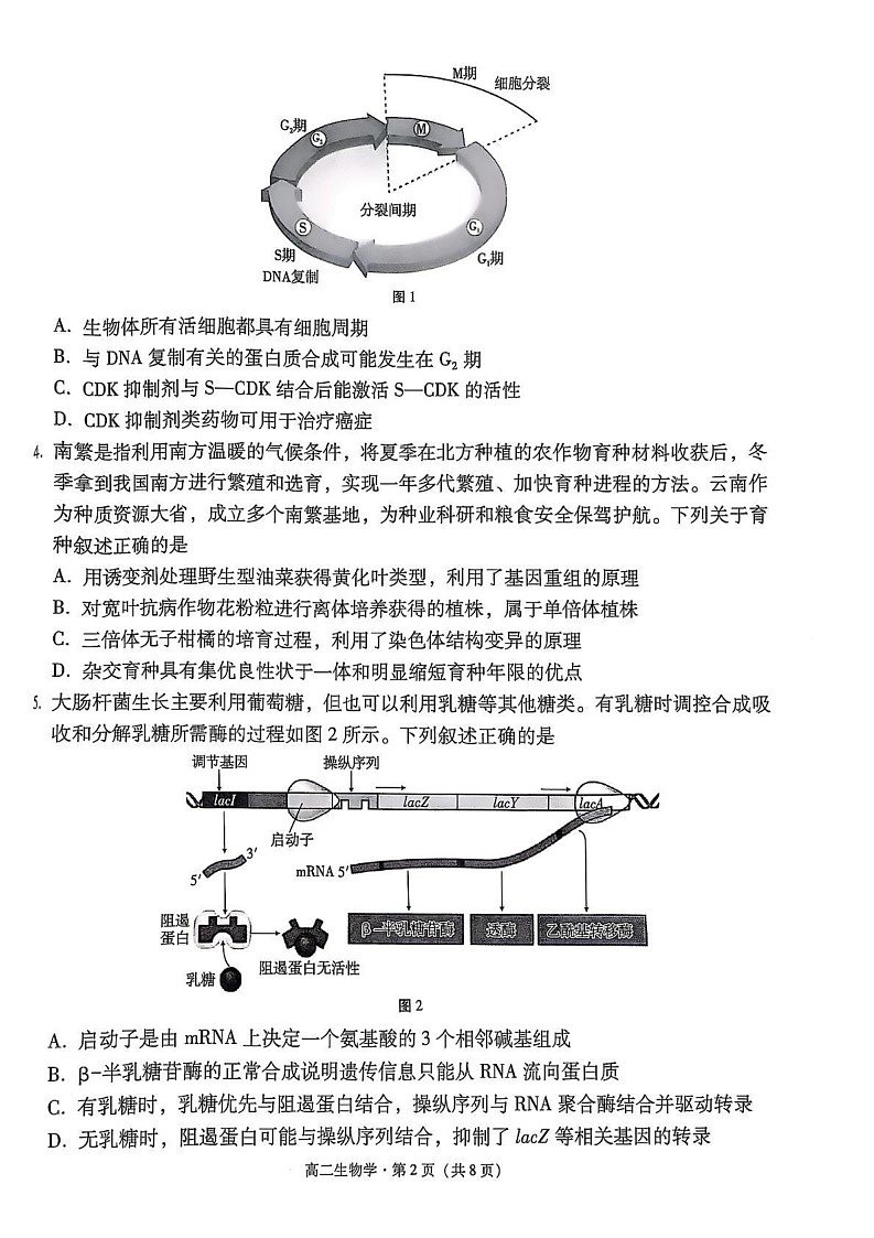 云南省保山市2024~2025学年高二上学期期末质量监测生物试卷第2页