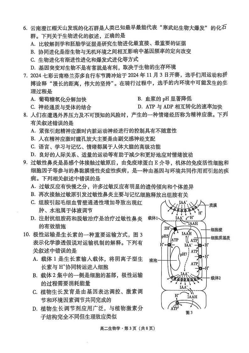 云南省保山市2024~2025学年高二上学期期末质量监测生物试卷第3页