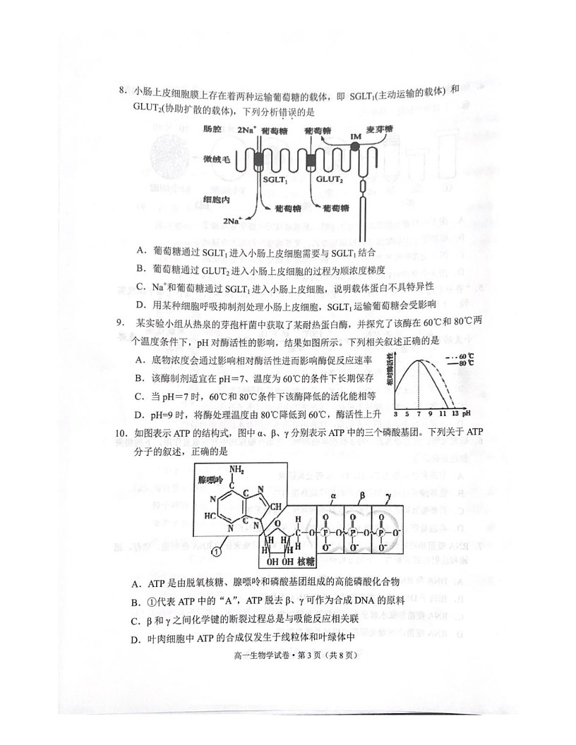 云南省红河州文山壮族苗族自治州2024-2025学年高一上学期1月期末生物试题第3页