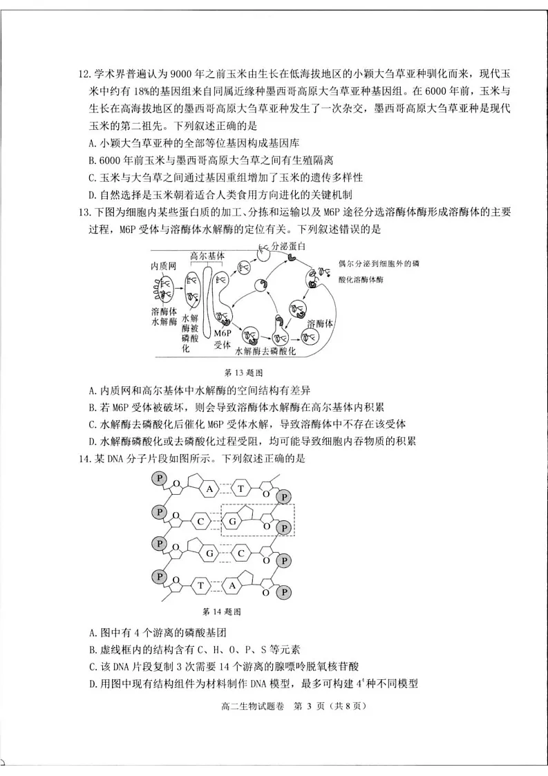 浙江省杭州市2024-2025学年高二上学期1月期末生物试题第3页