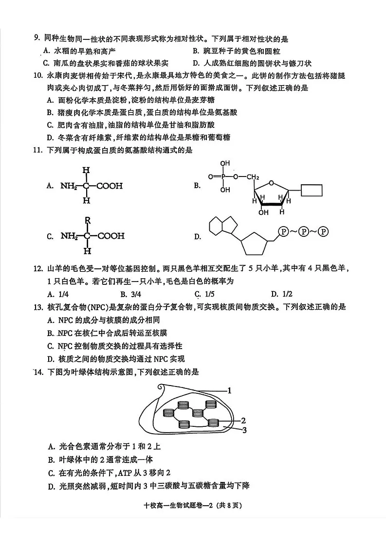 浙江省金华十校2024-2025学年高一上学期期末生物试卷第2页