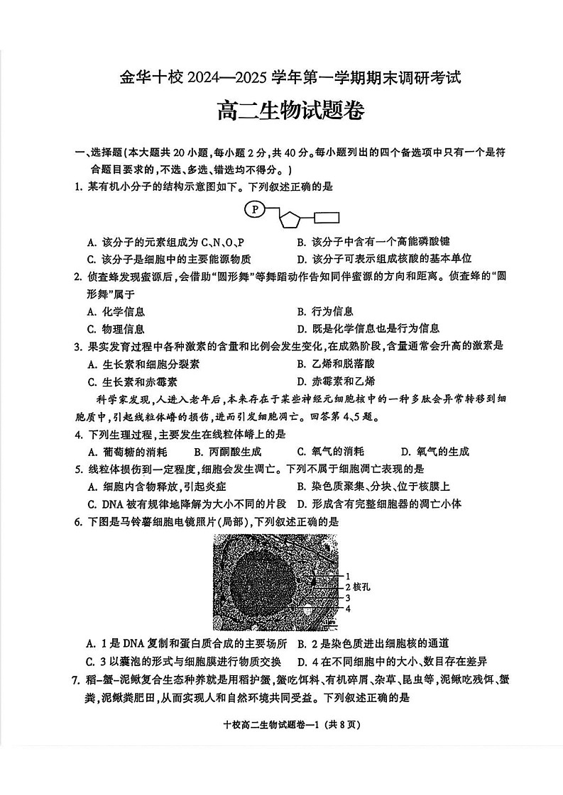 浙江省金华十校2024-2025学年高二上学期期末生物试卷第1页