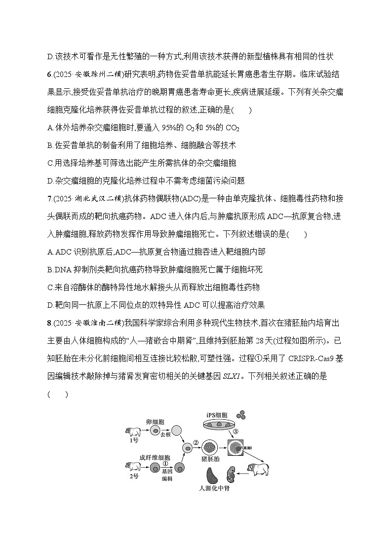 2026届高三生物二轮复习试题知识对点小题练12.生物技术与工程（Word版附解析）第3页
