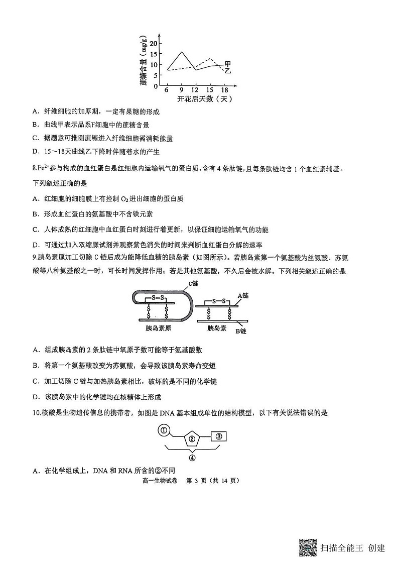 重庆市巴蜀中学校2024-2025学年高一上学期期末考试生物试题第3页