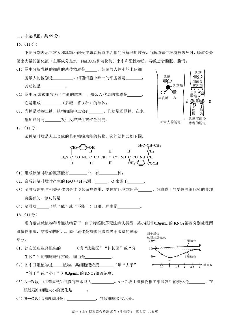 重庆市部分学校2024-2025学年高一上学期期末联合检测生物试题第3页