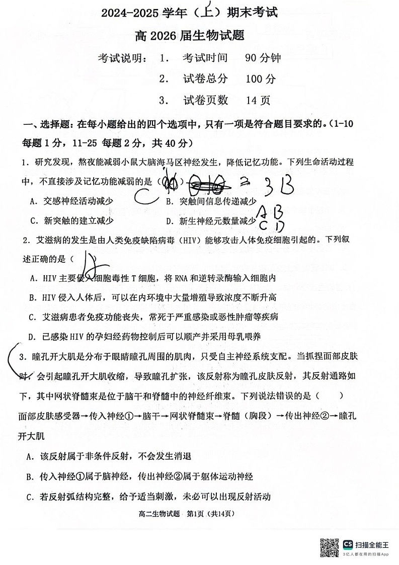重庆市主城七校联考2024-2025学年高二上学期期末考试生物试题第1页