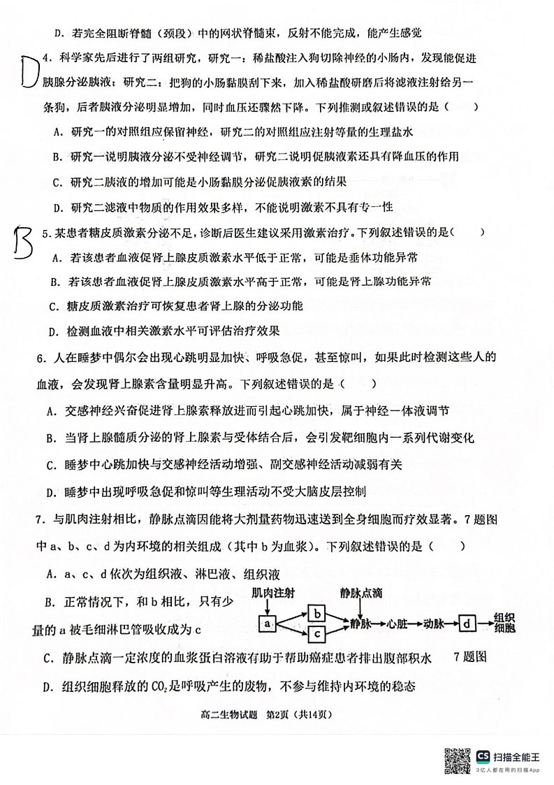 重庆市主城七校联考2024-2025学年高二上学期期末考试生物试题第2页