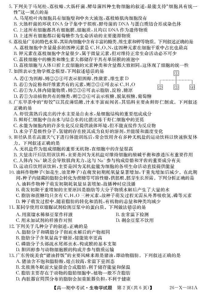 广东省部分重点高中2025-2026学年高一上学期10月期中生物考试（含答案）第2页