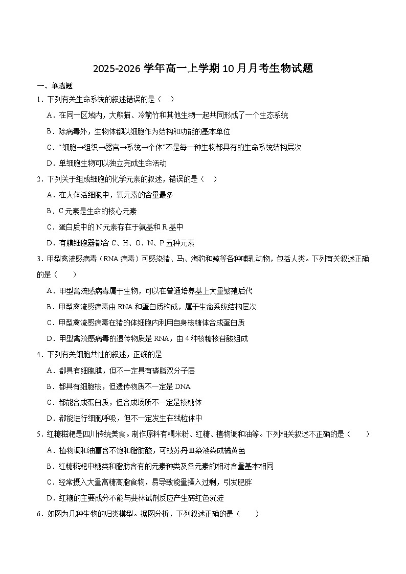 四川省德阳市重点高中2025-2026学年高一上学期10月月考生物试题（含答案）第1页