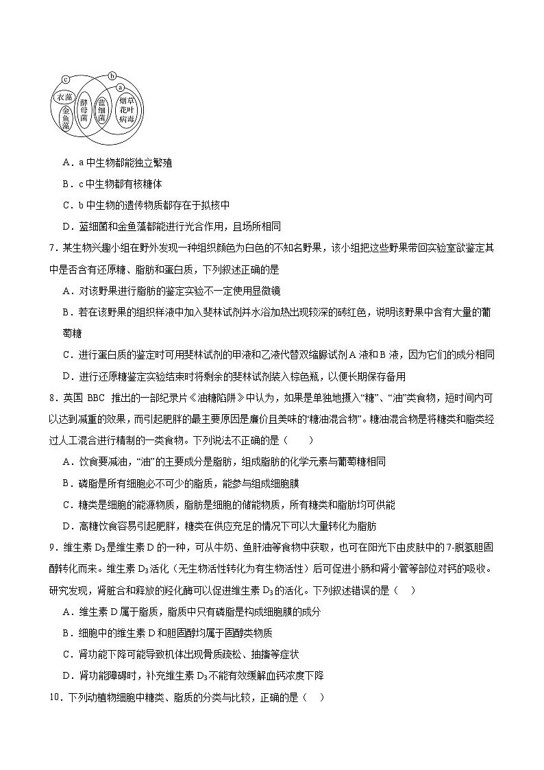 四川省德阳市重点高中2025-2026学年高一上学期10月月考生物试题（含答案）第2页