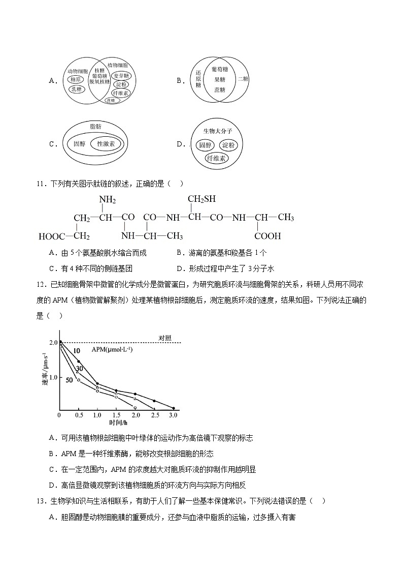 四川省德阳市重点高中2025-2026学年高一上学期10月月考生物试题（含答案）第3页