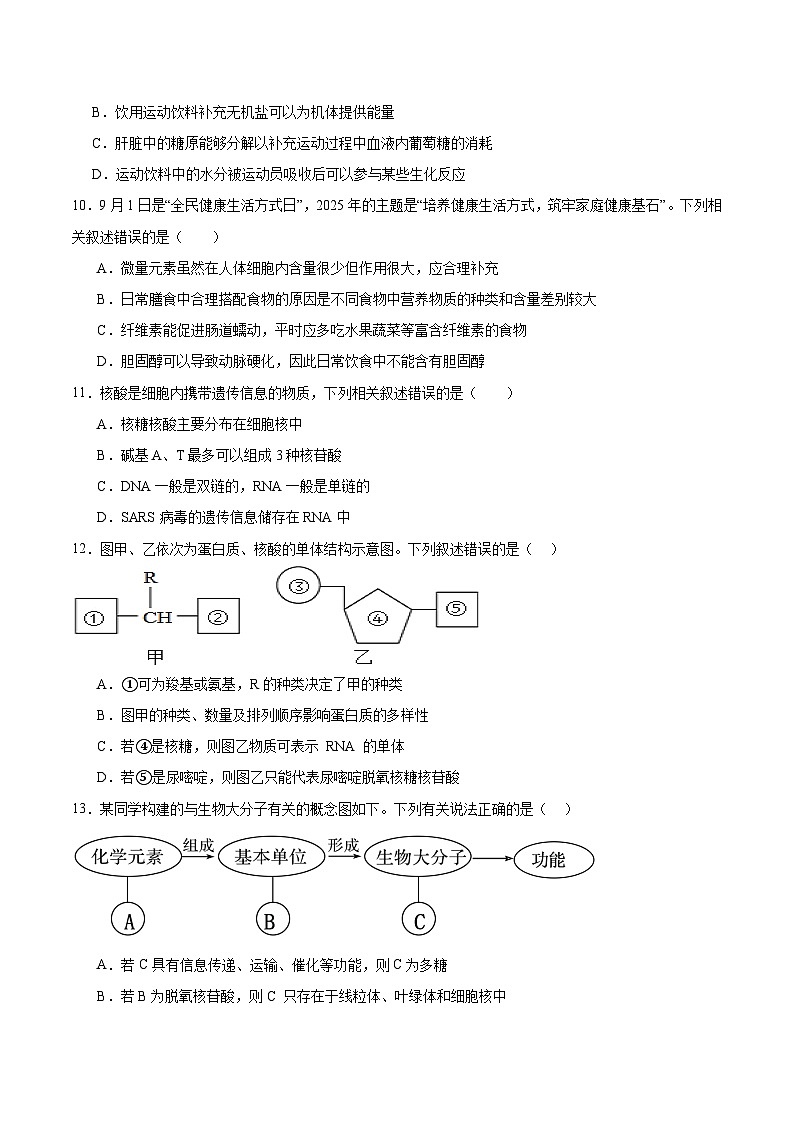 广东省茂名市重点高中2025-2026学年高一上学期10月期中生物考试 （含答案）第3页