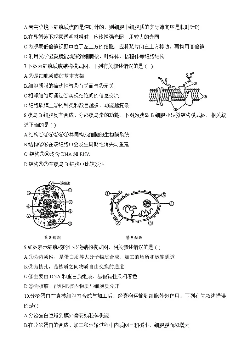 江苏省天一中学2024-2025学年高一上学期期末考试生物试题第2页