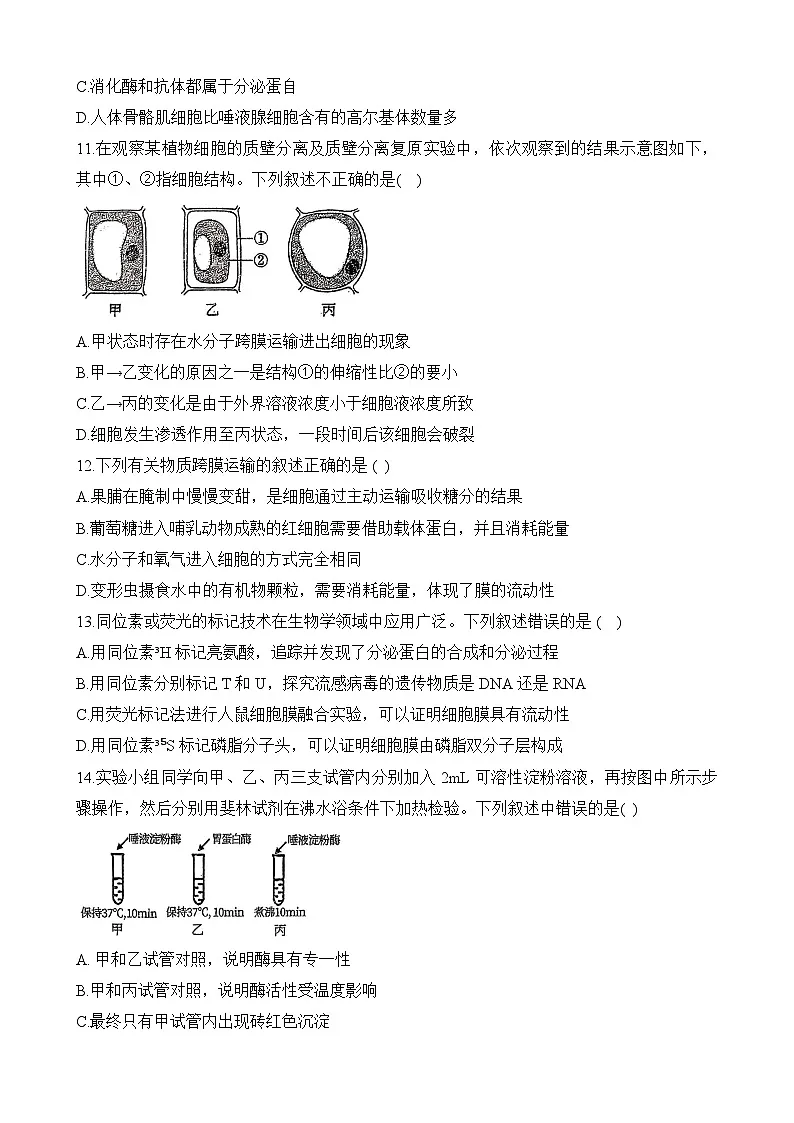 江苏省天一中学2024-2025学年高一上学期期末考试生物试题第3页