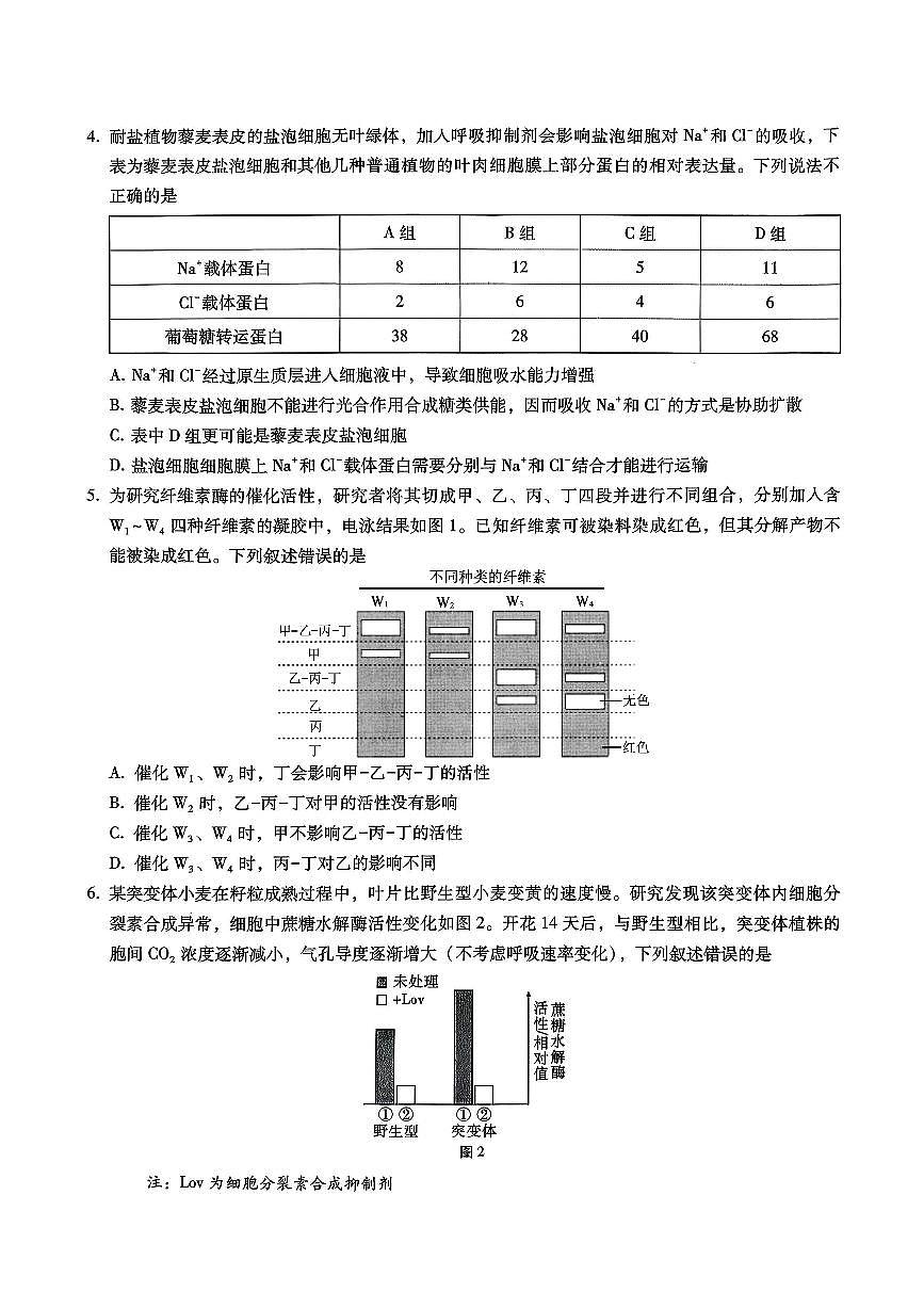 巴蜀中学2026届高考适应性月考卷（四）生物第2页