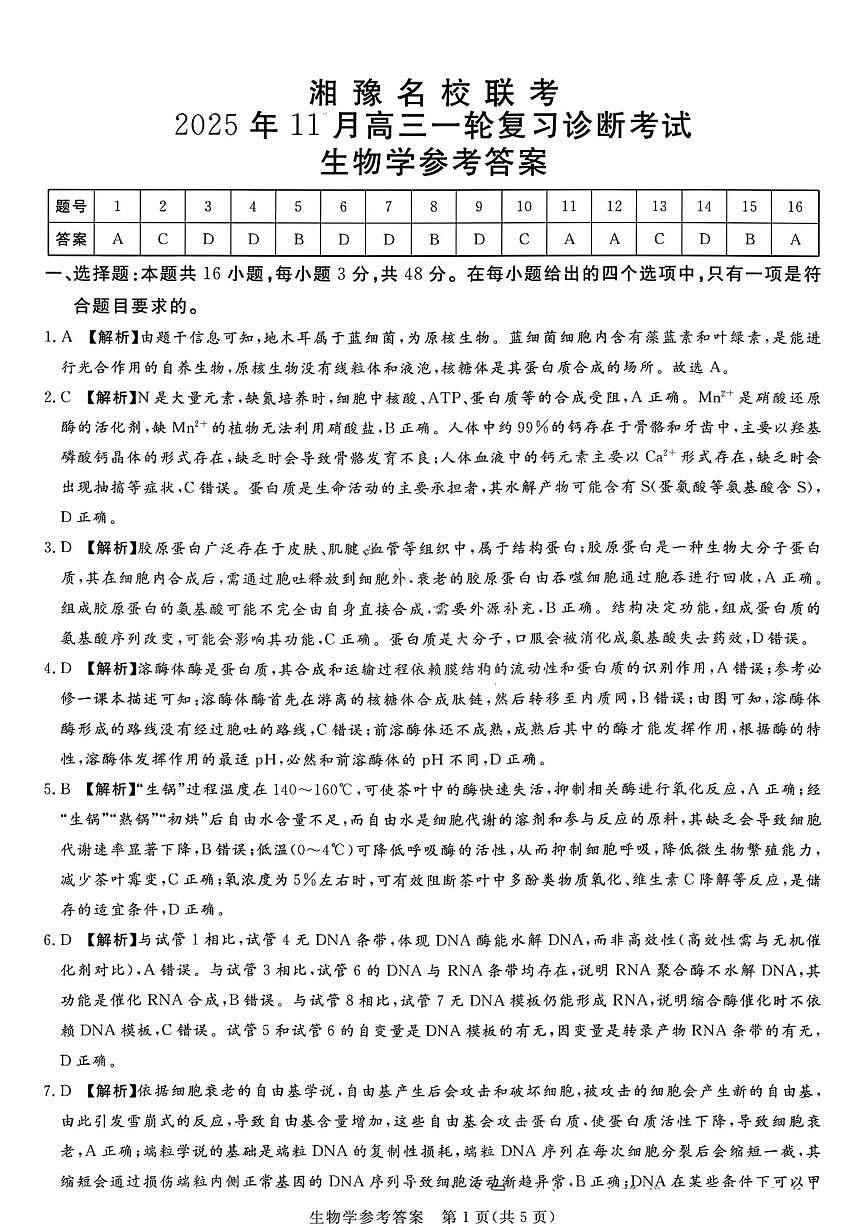 湘豫名校联考2025年11月高三一轮复习诊断考试生物答案第1页