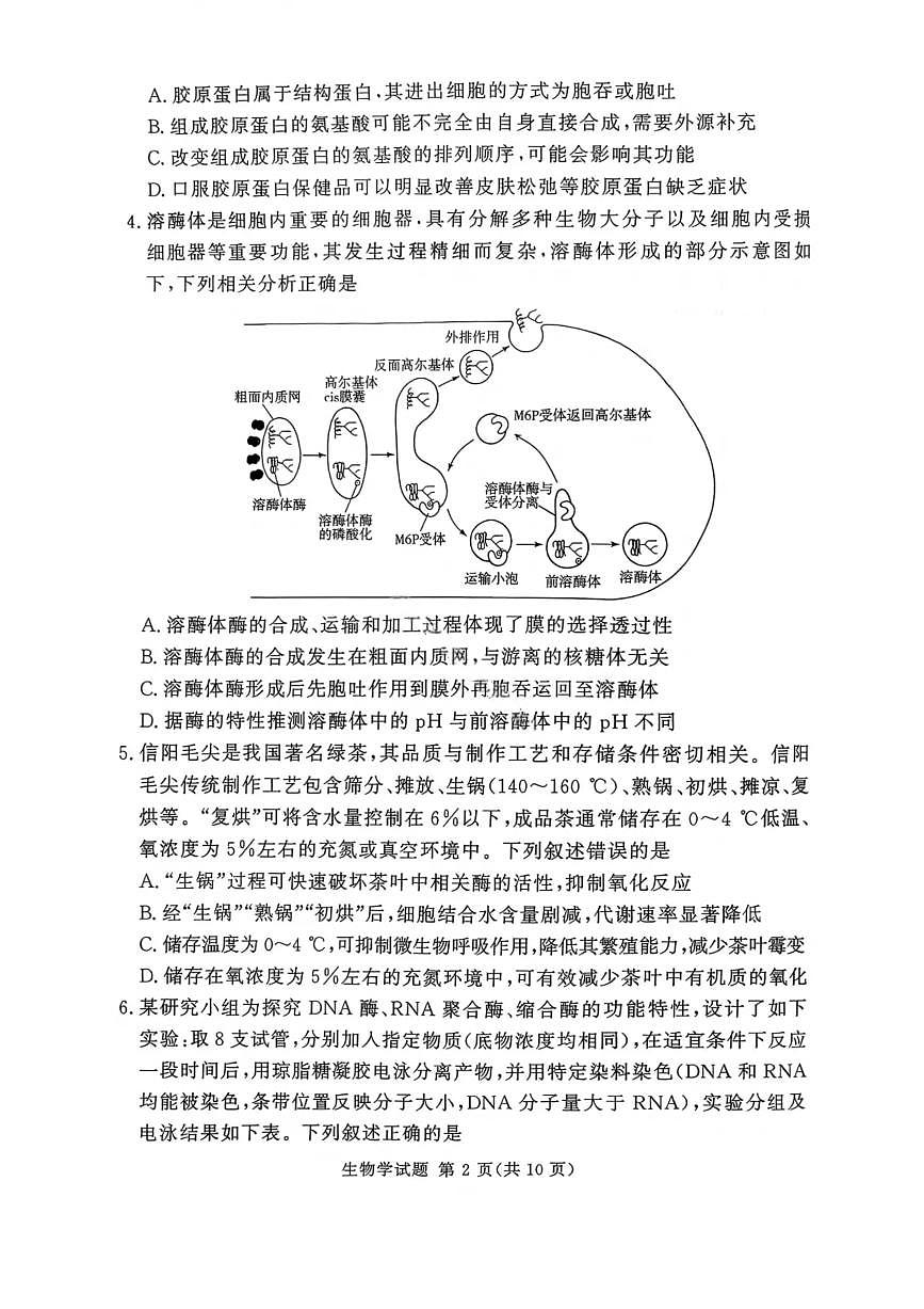 湘豫名校联考2025年11月高三一轮复习诊断考试生物第2页