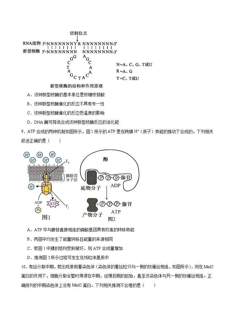 江西省多校2026届高三上学期10月联考试题 生物 Word版含答案第3页
