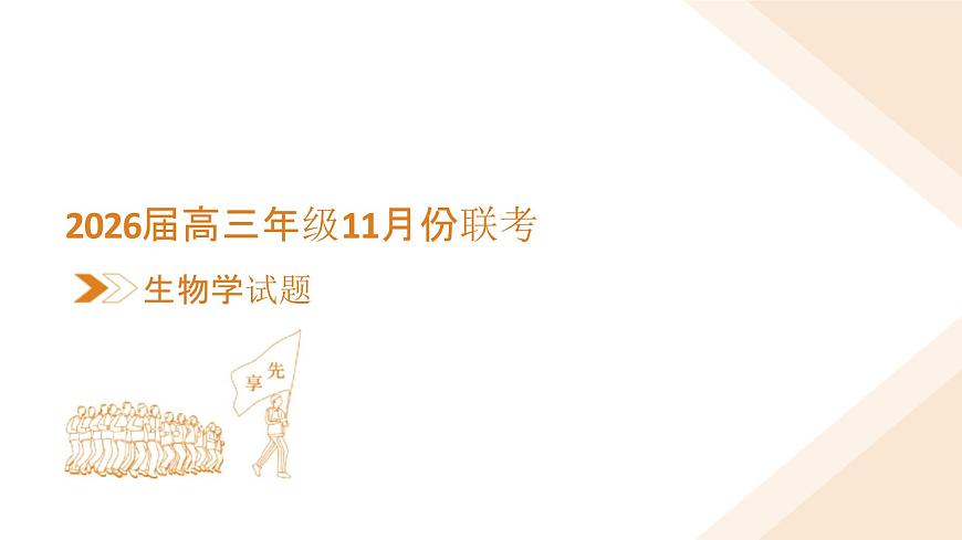 高三生物电子文件 高三生物PPT课件（2026届高三年级11月份联考）第3页
