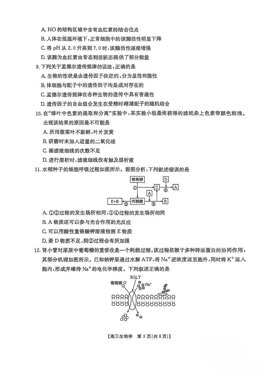 福建省金太阳2025-2026学年第一学期期中联考高三生物学试卷（含答案）第3页