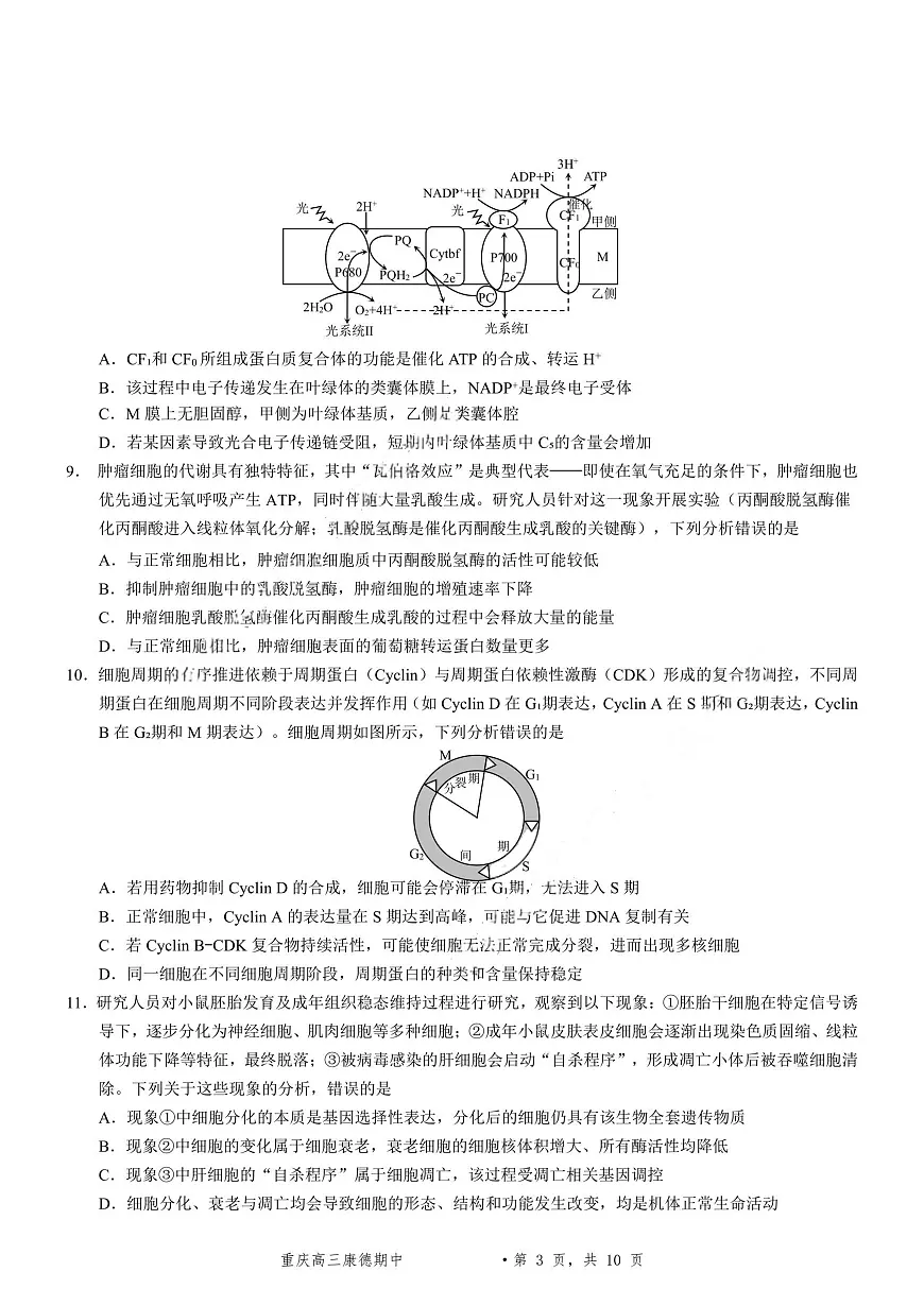 生物+答案-2025年秋康德高三11月调研测试试题卷第3页