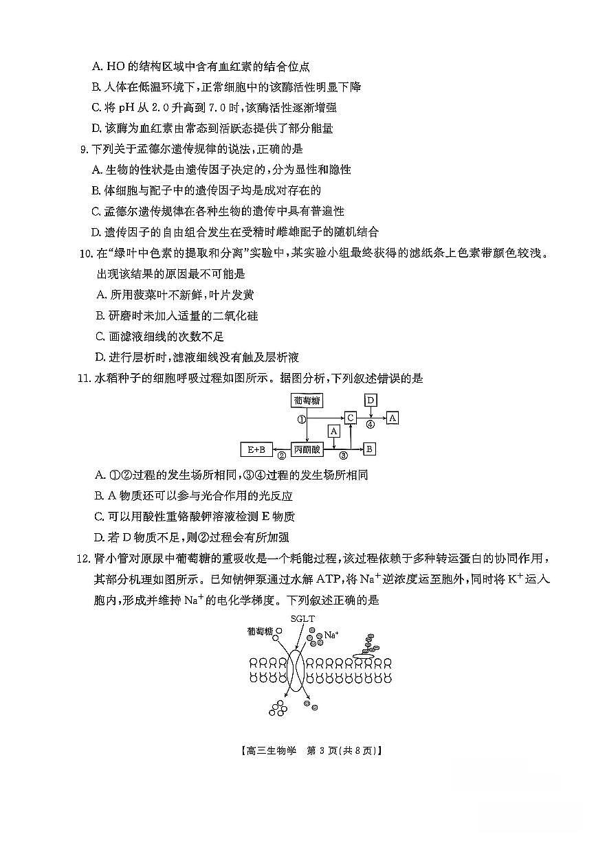 福建省金太阳高三上学期11月第一学期期中联考生物试卷（含答案）第3页