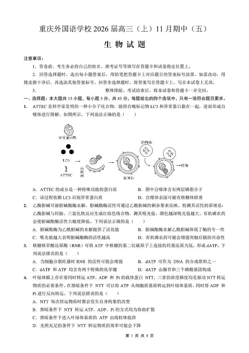 重庆实验外国语学校2025-2026学年度高一上学期11月月考（五）生物试卷（含答案）第1页