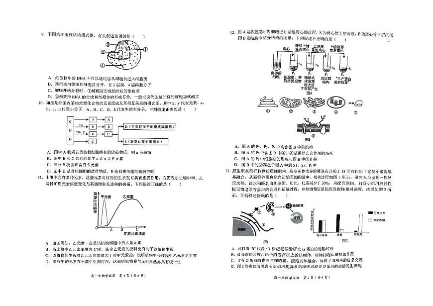 广西示范性高中2025-2026学年高一上学期期中联合调研测试生物试卷（含答案）第2页
