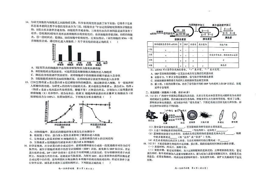 广西示范性高中2025-2026学年高一上学期期中联合调研测试生物试卷（含答案）第3页