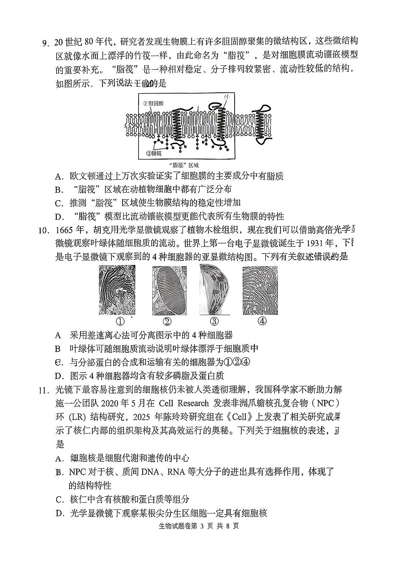 湖南省联考2025-2026学年高一上学期11月期中考试生物试卷第3页