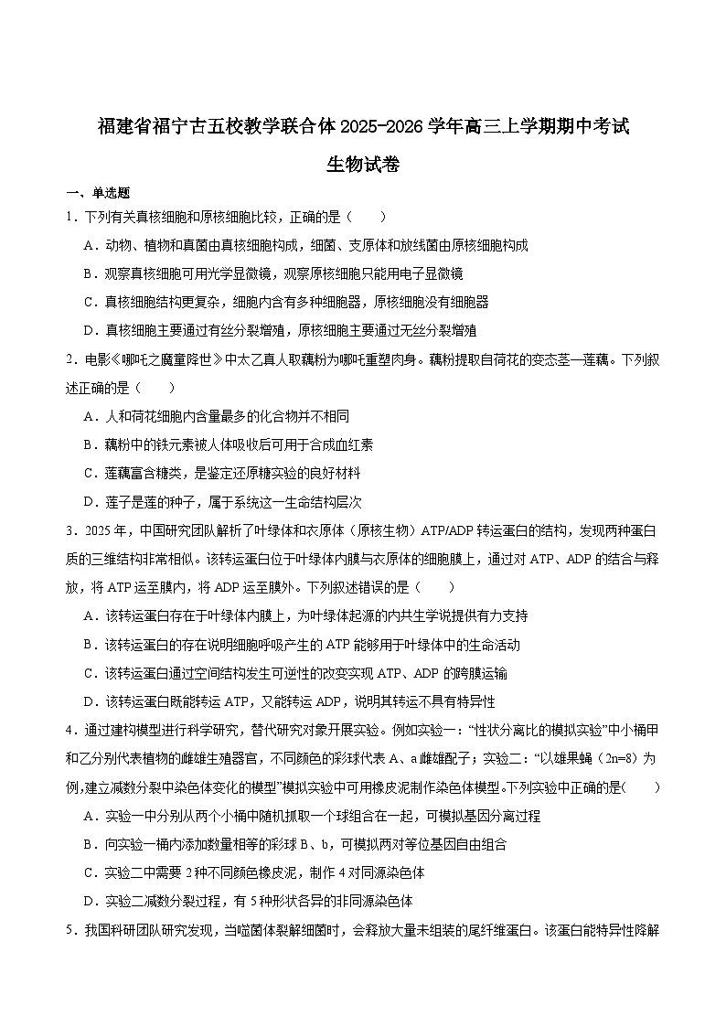 福建省福宁古五校2026届高三上学期11月期中考试生物试卷（Word版附答案）第1页