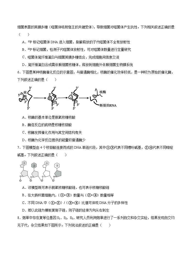 福建省福宁古五校2026届高三上学期11月期中考试生物试卷（Word版附答案）第2页