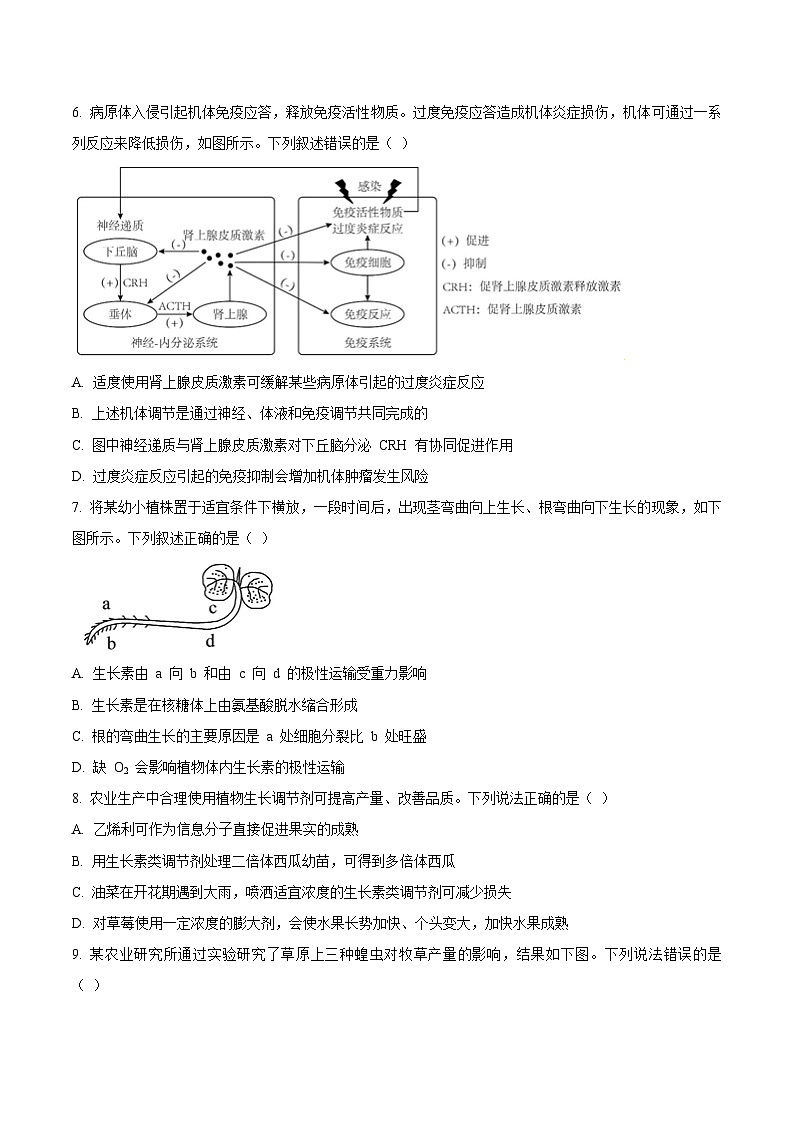 辽宁省丹东市2024-2025学年高二上学期期末考试生物试题（含答案）第3页