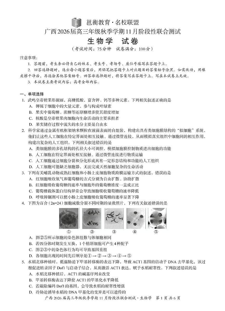 广西邕衡教育名校联盟广西2026届高三年级上学期11月份阶段性联合测试生物试卷第1页