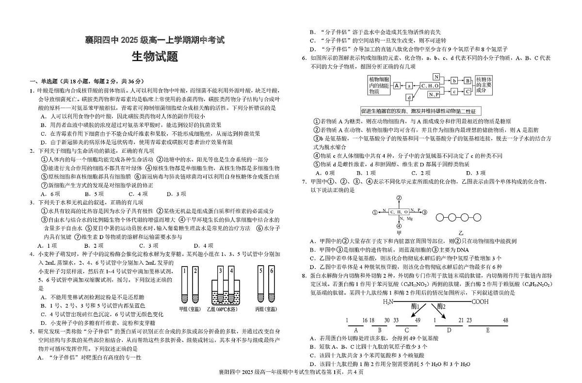 生物-湖北省襄阳市第四中学2025-2026学年高一上学期11月期中试题及答案第1页