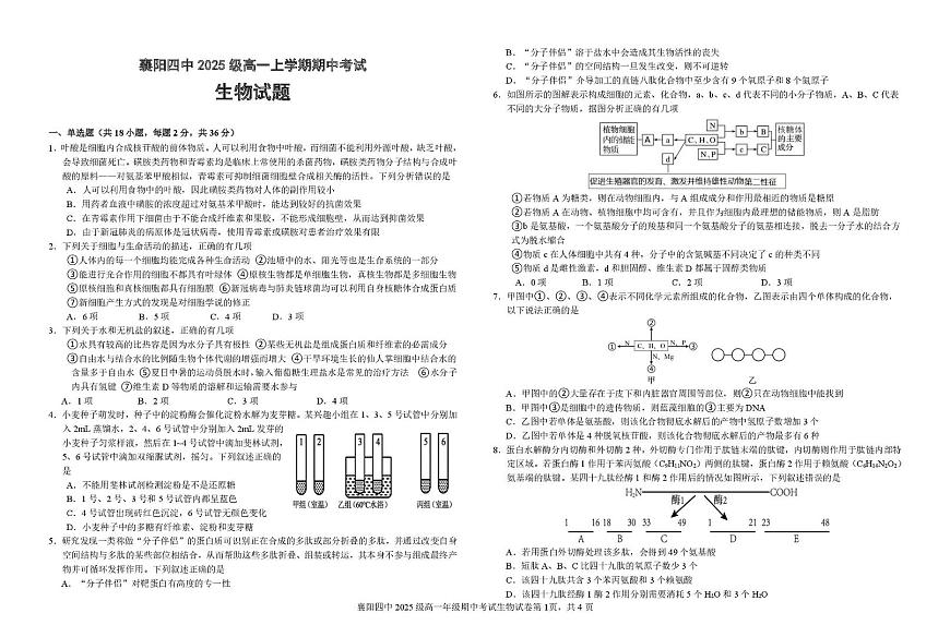 生物-湖北省襄阳市第四中学2025-2026学年高一上学期11月期中试题及答案第1页