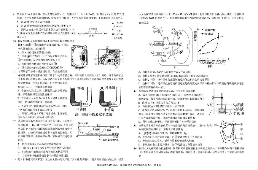 生物-湖北省襄阳市第四中学2025-2026学年高一上学期11月期中试题及答案第2页