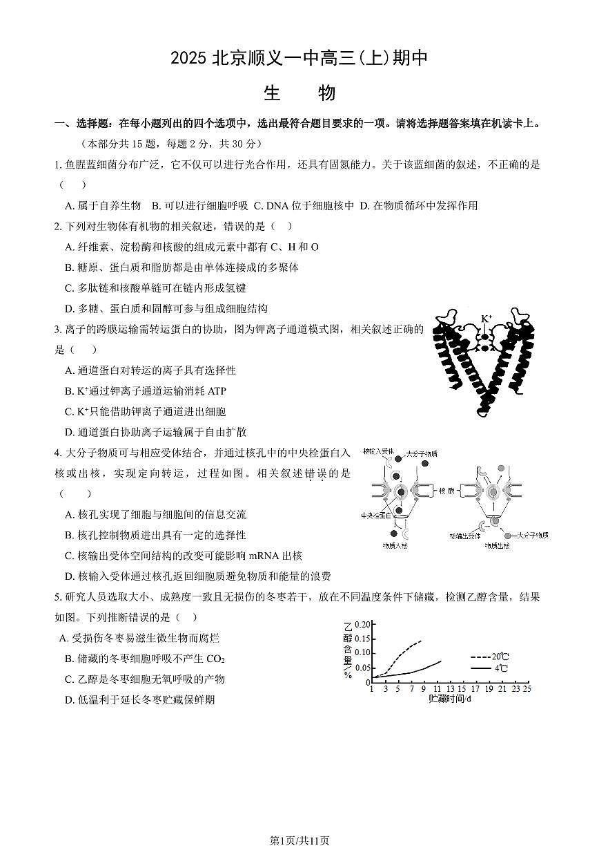2025北京顺义一中高三(上)期中生物（教师版）试卷第1页