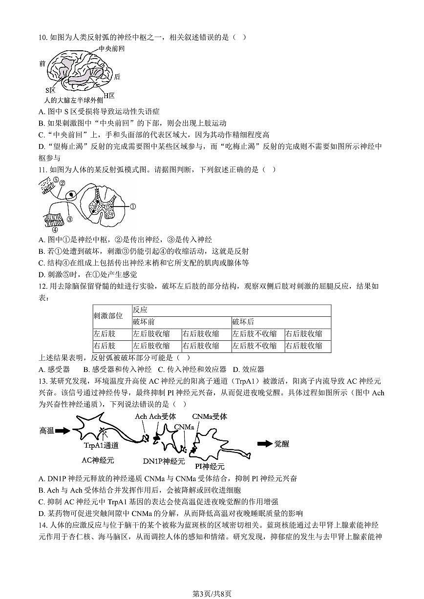 2025北京二中高二（上）第一次月考生物试卷第3页