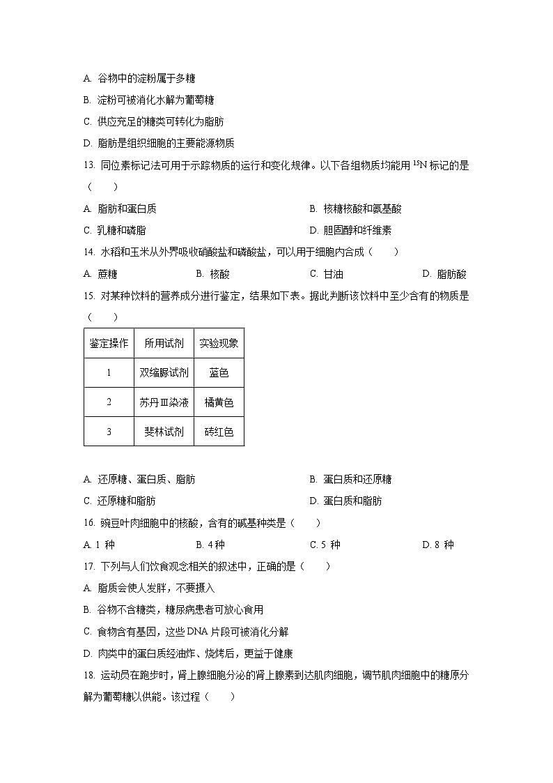 北京市丰台区2025-2026学年高一上学期11月期中生物试卷（学生版）第3页