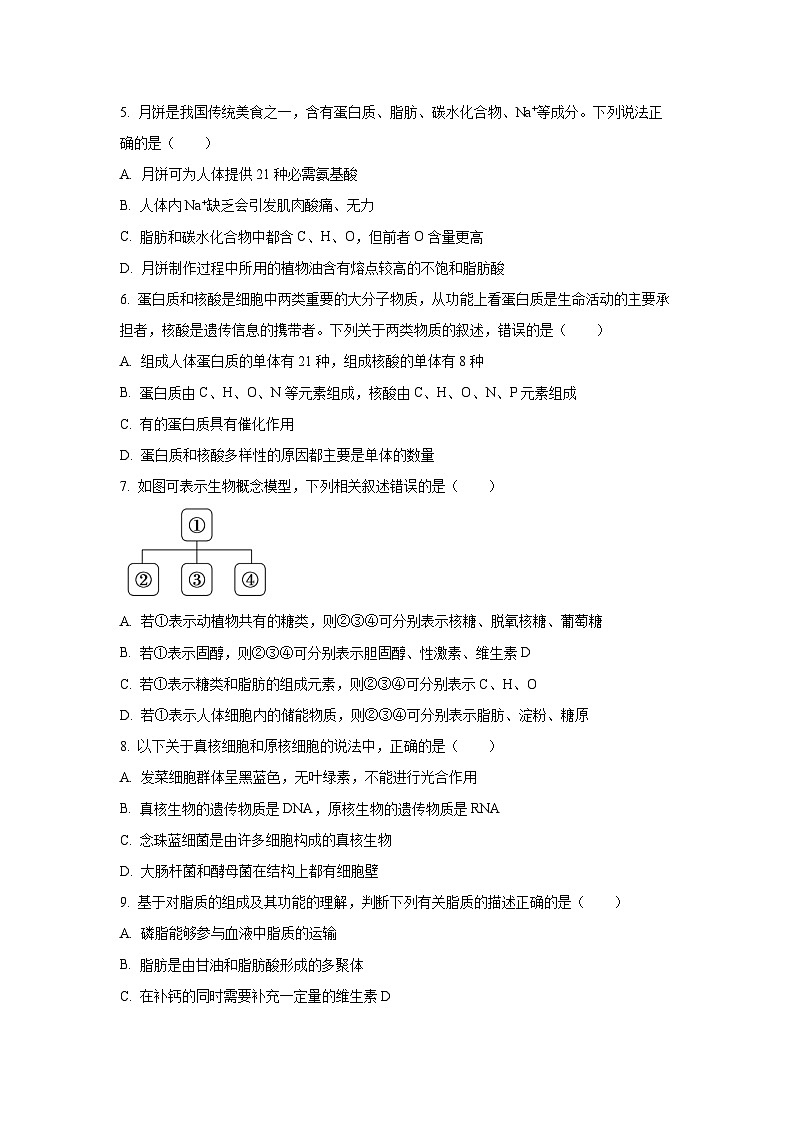 广东省惠州中学2025-2026学年高一上学期10月考试生物试卷（学生版）第2页