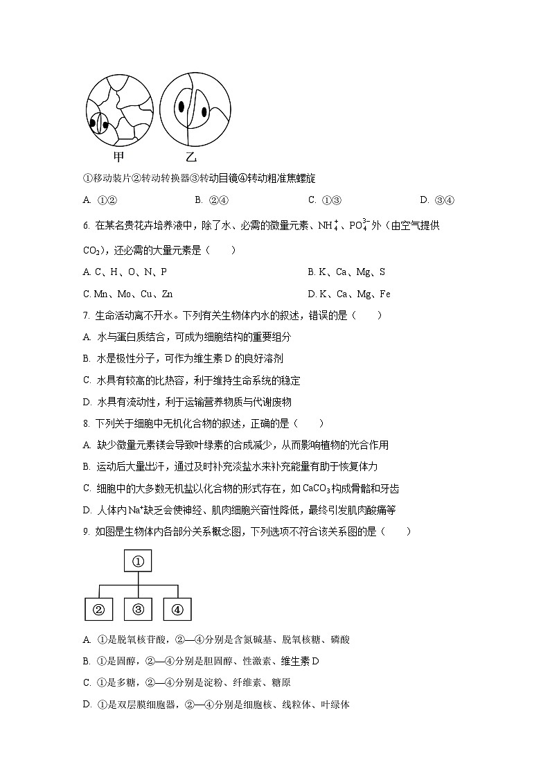 广东省四校2025-2026学年高一上学期期中联考生物试卷（学生版）第2页